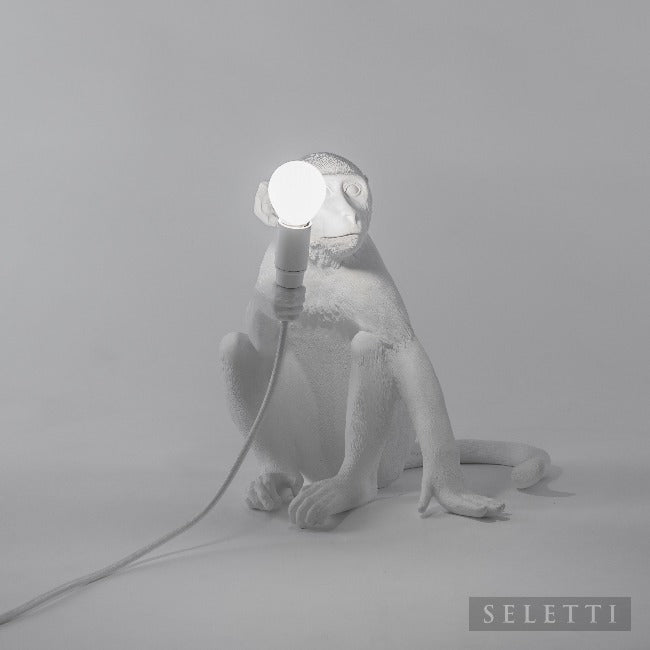 Indoor Monkey Lamp