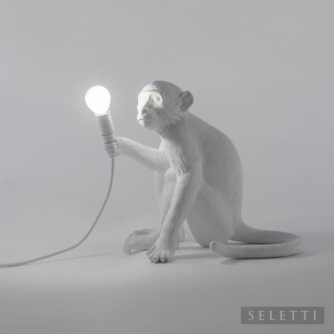 Indoor Monkey Lamp