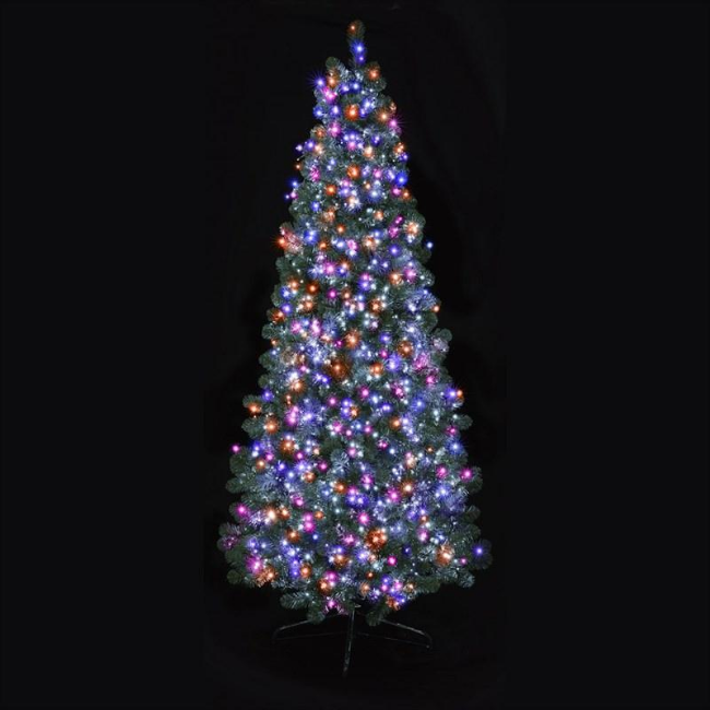 Christmas Tree with 1000 multi-coloured lights
