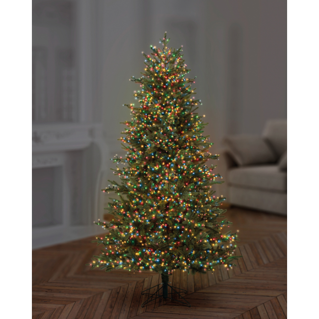 Christmas Tree with 750 mulit-coloured tree lights