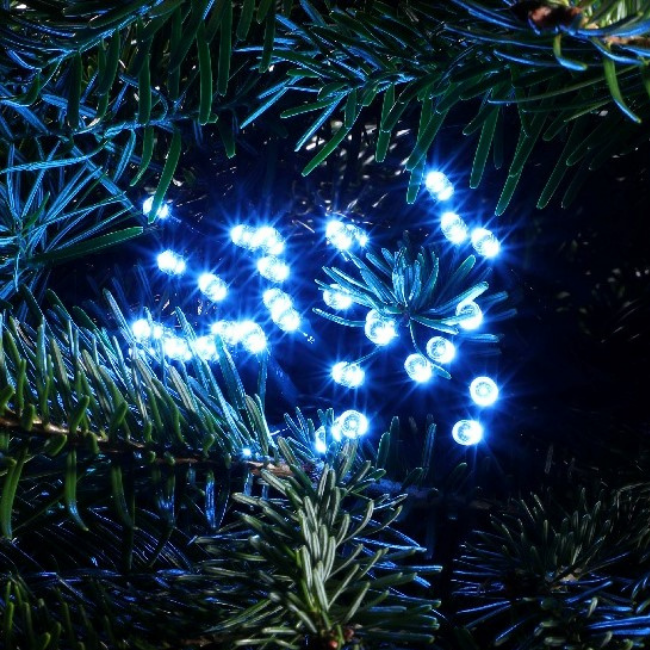 blue tree lights